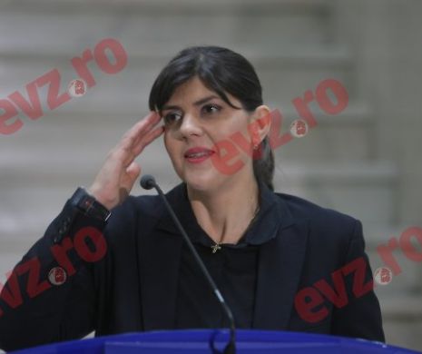 Ce nu spune GRECO atunci când exprimă “îngrijorări” pentru șefa DNA, Laura Codruța Kovesi