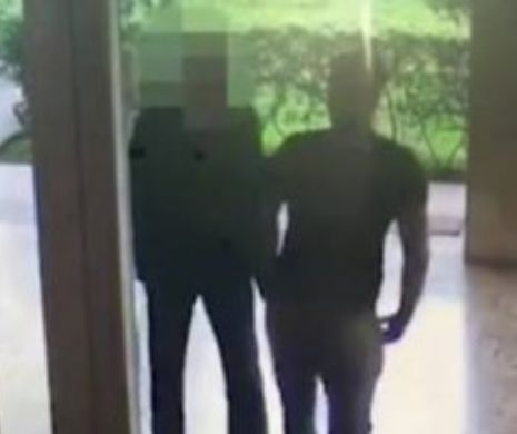 Cu ce se mai ocupă ROMÂNII în Italia. Imagini care te îngrozesc. VIDEO