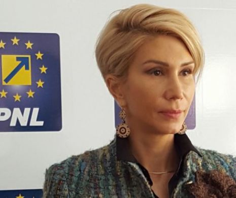 Cum se poziționează PNL pe cererea de demisie a premierului Dăncilă de către Președintele Iohannis