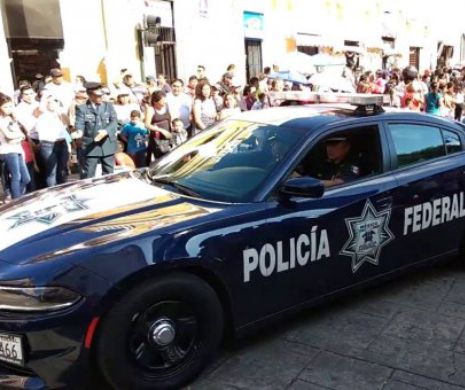 Depășește orice imaginație! Trei studenți au fost uciși de o grupare criminală. CADAVRELE acestora, DIZOLVATE în acid