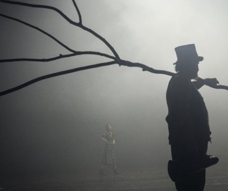 FEST - FDR, cel mai important festival dedicat teatrului românesc anunță, la Timișoara, o selecție remarcabilă I FOTO