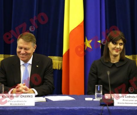 Iohannis a refuzat revocarea șefei DNA. Tudorel Toader merge mai departe, pe mâna CCR