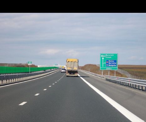 Perdele forestiere, de-a lungul autostrăzilor din Constanța