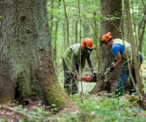 Polonia ÎNCALCĂ orice INTERDICŢIE care vine din partea Uniunii Europene