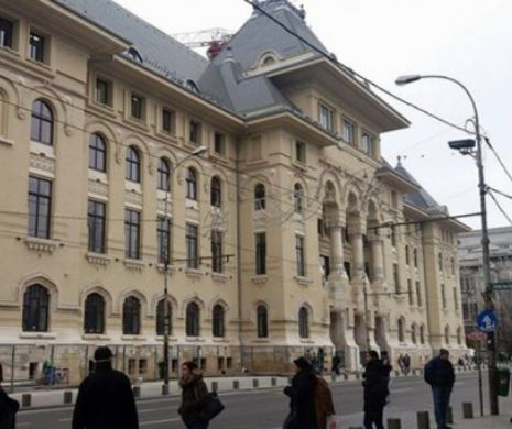 Primăria Capitalei vrea să interzică vânzarea câinilor şi pisicilor care nu au pedigree. Contravenienţii riscă amenzi usturătoare