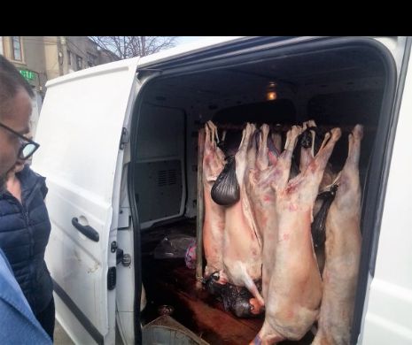 Produse de Paște, vândute la Constanța. CARNE de MIEL din PORTBAGAJ, COZONACI ARTIFICIALI