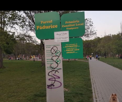 Robu: ”Realizările îmi dau destulă serotonină și Dumnezeu mai știe ce alte substanțe care mă fac fericit”