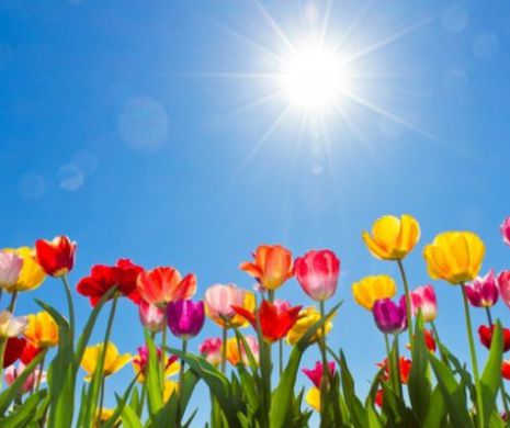 SURPRIZE MARI de la meteorologi! Cum va fi vremea în perioada următoare. Nimeni nu se aștepta la o ASEMENEA PROGNOZĂ