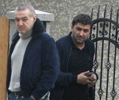 Becali a stabilit: Luțu va fi „SECUND” la FCSB. „Stilul pă atac, dar n-aș suporta figurile! Eu sunt noul Pițurcă”