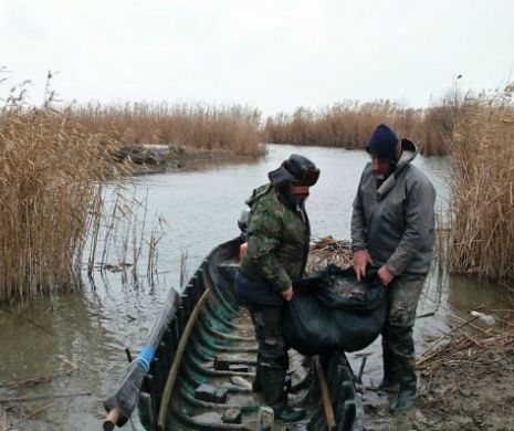 BRACONIERI prinși în flagrant de polițiștii din DELTA DUNĂRII. Sute de kilograme de pește, confiscate