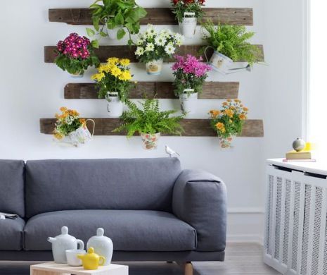 Casa cu flori, ruptă din povești