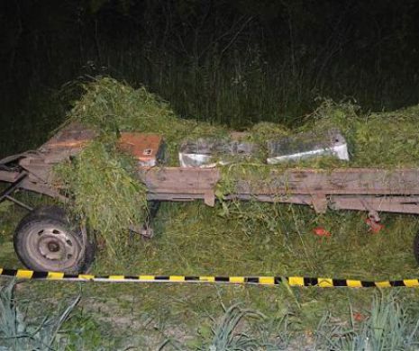 Contrabandă cu ţigări în Ritm de căruţă