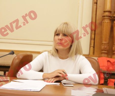Decizie BOMBĂ a judecătorilor în legătură cu averea Elenei Udrea