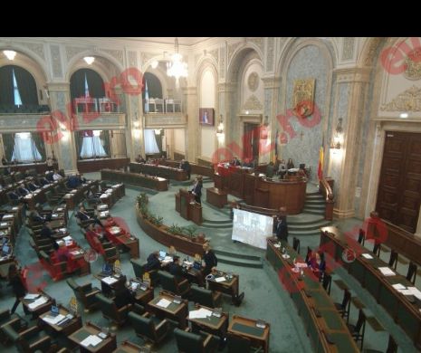 Facilități fiscale pentru afacerile mici