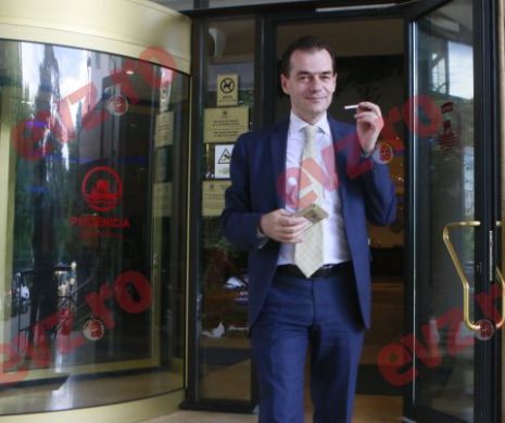 Gorghiu: Orban nu a consultat PNL în cazul Dăncilă