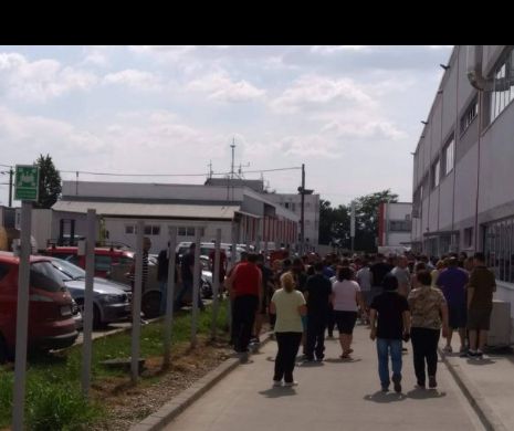 Grevă la cea mai mare fabrică din Timișoara