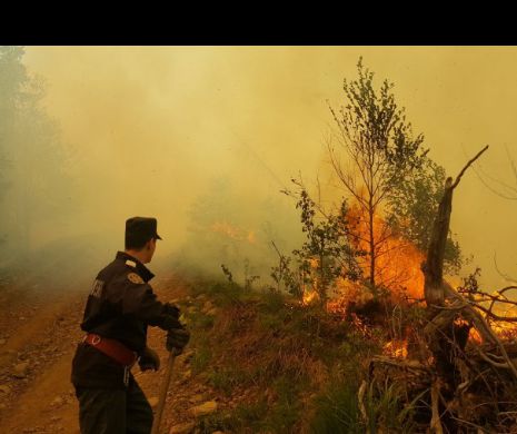 INCENDIU la o groapă de gunoi, pe o suprafață de 1500 de metri pătrați! Pompierii intervin DE URGENȚĂ