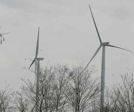 Parlamentul pregăteşte CREŞTEREA facturii la CURENTULelectric pentru a avntaja producătorii ENERGIEI VERZI