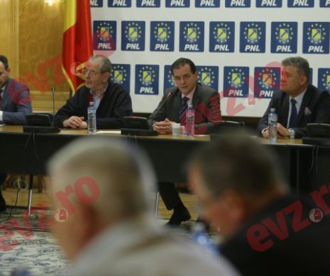 PNL pregătește un Guvern alternativă: „Ar fi absolt anormal să dai jos un Guvern și să nu ai soluții”