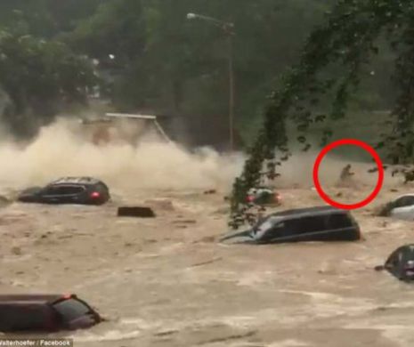 Potop! Stare de URGENŢĂ în Maryland, un copil a murit şi mai multe podgorii au fost distruse în Franţa. VIDEO CUTREMURĂTOR