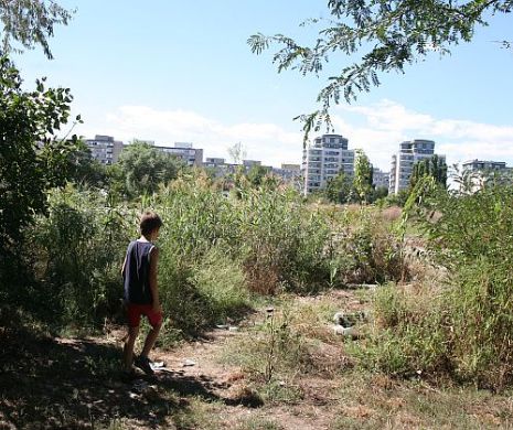 Primăria Sectorului 4 caută soluții pentru a veni în sprijinul șoferilor. Parcare de peste 700 de locuri pe o pârloagă