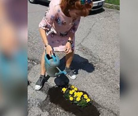 România a fost „PLAGIATĂ”:  Plantarea de flori în GROPILE de pe carosabil  a dat „ROADE”