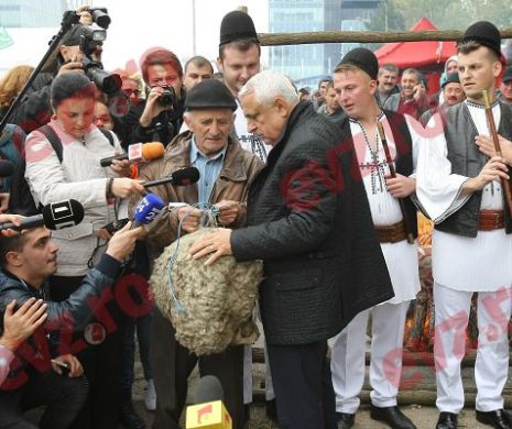 Roșiile lui DAEA sunt SĂNĂTOASE tun