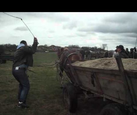 SCENE desprinse din EVUL MEDIU. Doi căruţaşi îşi bat caii fără MILĂ, ziua în amiaza mare. VIDEO ȘOCANT