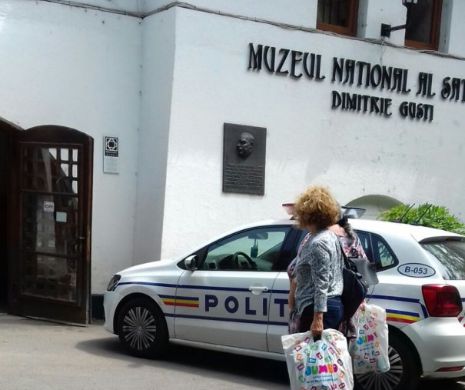 SPARGERE la Muzeul Satului. Poliția face VERIFICĂRI. Ce spune CONDUCEREA