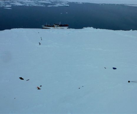 APOCALIPSA vine din Antarctica. ULTIMUL avertisment a DECLANȘAT ALARMA MONDIALĂ