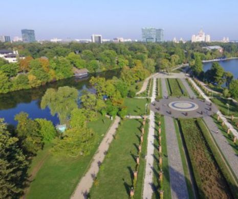 ATENȚIE în ce parcuri din București vă duceți COPIII și ANIMALELE. OTRAVĂ pe aleile din Herăstrău și Cișmigiu