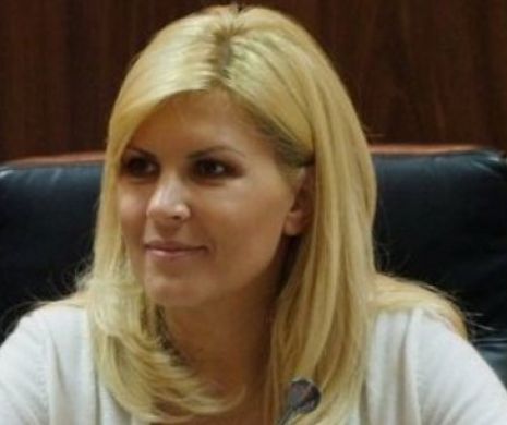 Avocatul Elenei Udrea îl contrazice pe Tudorel Toader. De ce pare IMPOSIBILĂ varianta EXTRĂDĂRII