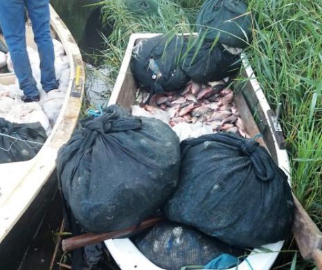 BRACONAJ și FURT în Delta Dunării