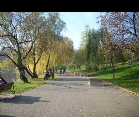CATASTROFĂ în PARCUL lui Ceaușescu din Capitală. ANIMALELE au fost OTRĂVITE. Habitatul este DISTRUS