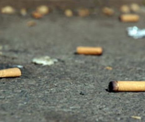 „Chiștoc clean” la Timișoara. Cum te poți implica