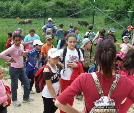 Cifra 13 le-a purtat ghinion. Au plecat în excursie dar au ajuns la spital