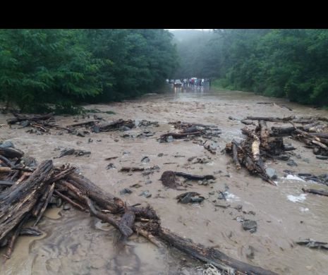 Imagini apocaliptice pe DN57. Se circulă pe jumătate de sens