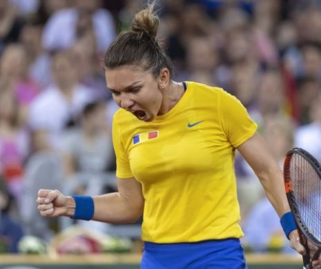 Ion ŢIRIAC despre marea PROBLEMĂ a Simonei HALEP