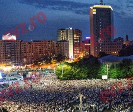 Miting PSD. Elena Udrea: Uite aşa a reuşit Sistemul să îi facă mari pe PSD şi pe Dragnea. Foto în articol