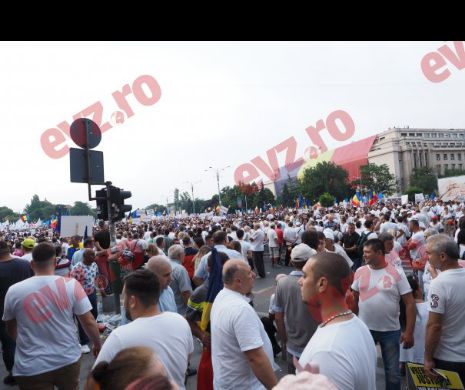 Miting PSD. Narcisa Iorga, mesaj dur pentru cei care RÂD de propriul popor aflat în Piaţa Victoriei