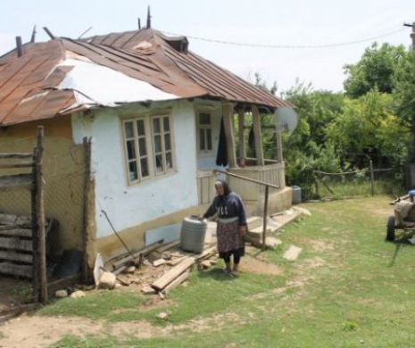 O octagenată își așteaptă resemnată sfârșitul. Pământul a înghițit tot. Oamenii au părăsit  satul de frică