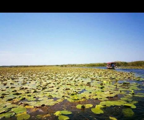 Proiect URIAȘ în Delta Dunării. ANCPI a început OPERAȚIUNEA de CADASTRARE