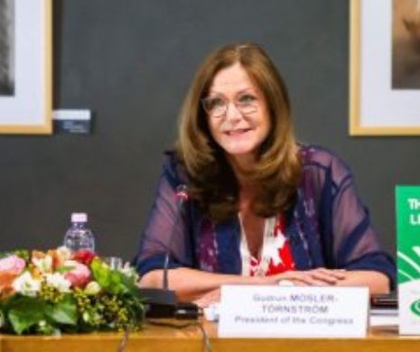 Raport european pentru dreptul folosirii limbii maghiare în administrația publică