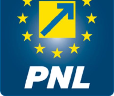 Ședință de URGENȚĂ în PNL. Se pune la cale DEMITEREA GUVERNULUI