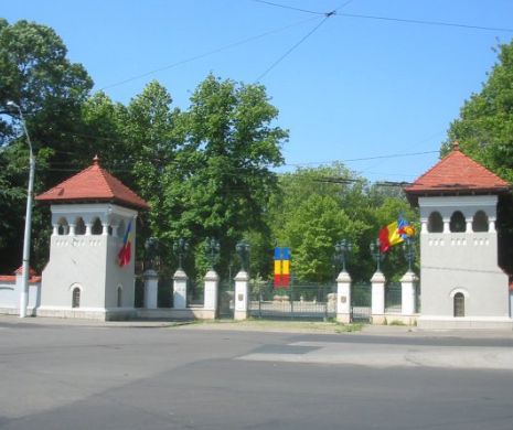Simina Tănăsescu a DEMISIONAT. Epilog la SCANDALUL PRESIUNILOR asupra CCR