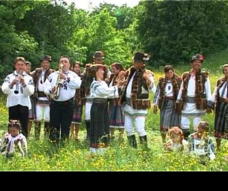 ȘOC în lumea muzicii populare! O cunoscută cântăreață a FOST JEFUITĂ