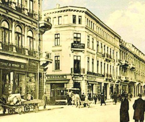 Strălucitul orator Nicolae Fleva sau bătălia politică în România lui Carol I