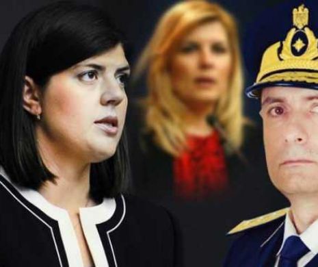 Udrea este „PRIMA VICTIMĂ EXECUTATĂ pe culoarul Protocoale”. Este „ŢAPUL ISPĂŞITOR pentru a se putea JUSTIFICA  lupta anticorupţie”