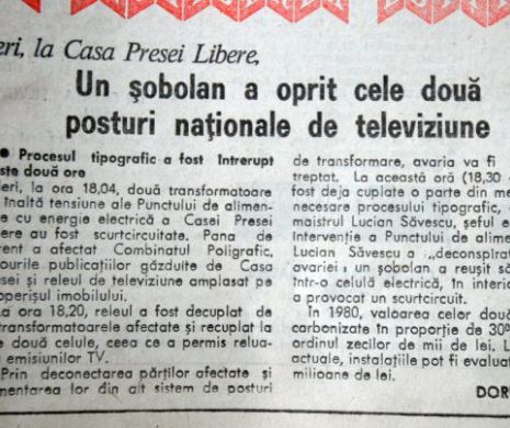 Un șoarece a blocat activitatea ziarelor din Casa Presei timp de două ore