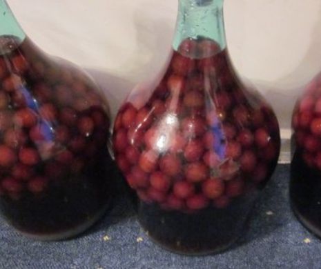 VASLUI. Trei copii, de 3, 4 şi 8 ani în comă alcoolică